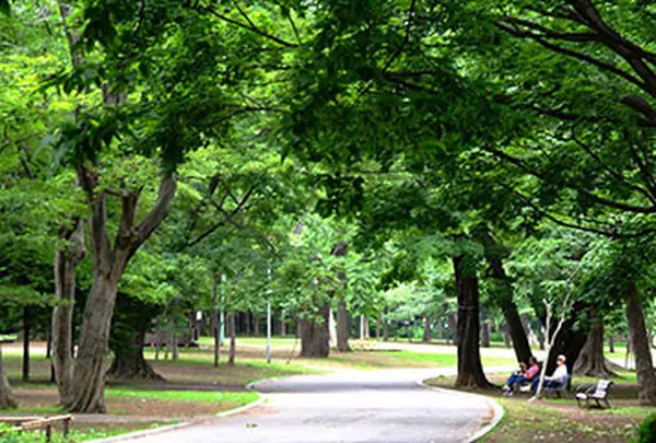 円山公園