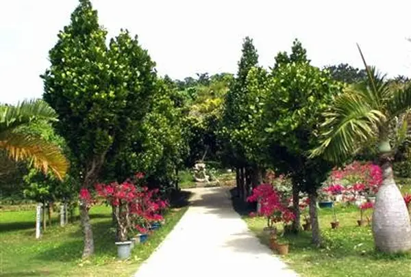 宮古島市熱帯植物園