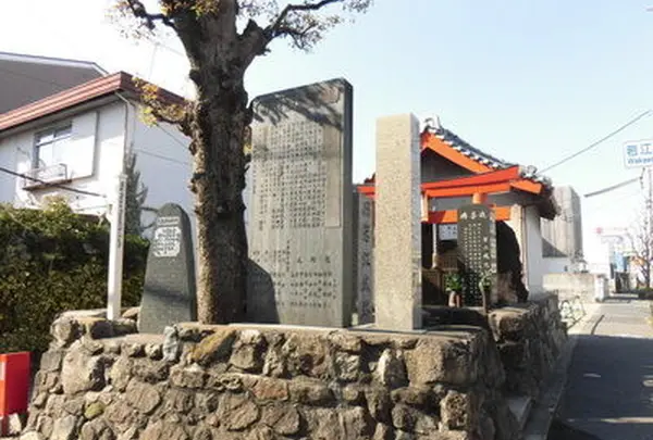 若江城跡の写真・動画_image_218041