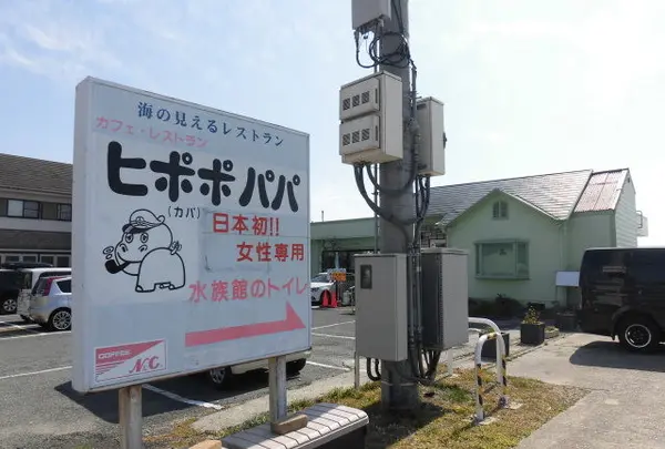 ヒポポパパ