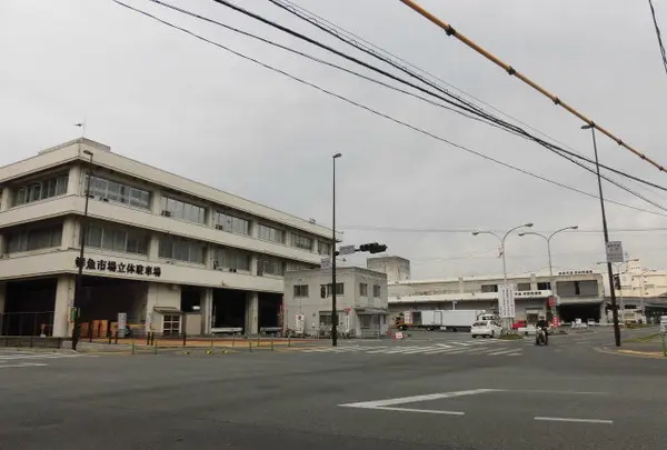 長浜鮮魚市場