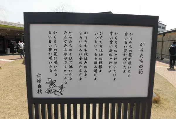 西鉄柳川駅の写真・動画_image_223962