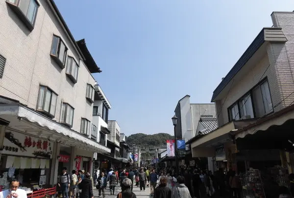 太宰府天満宮参道の写真・動画_image_223966