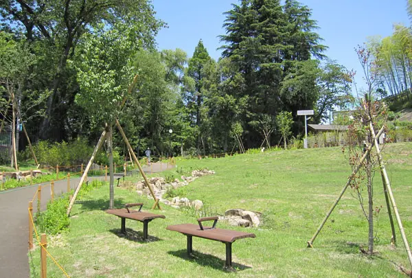 おとめ山公園