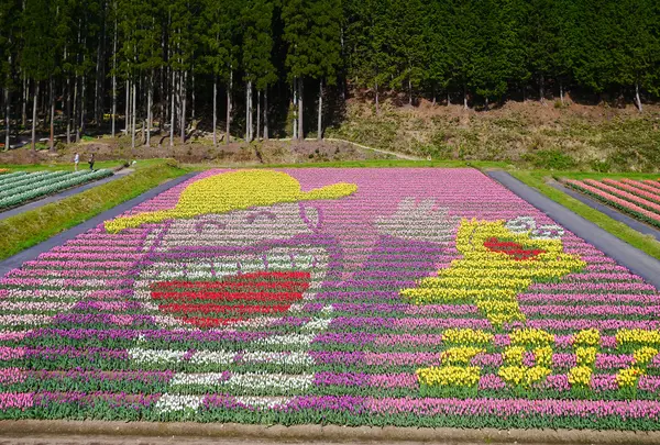 たんとう花公園の写真・動画_image_231550