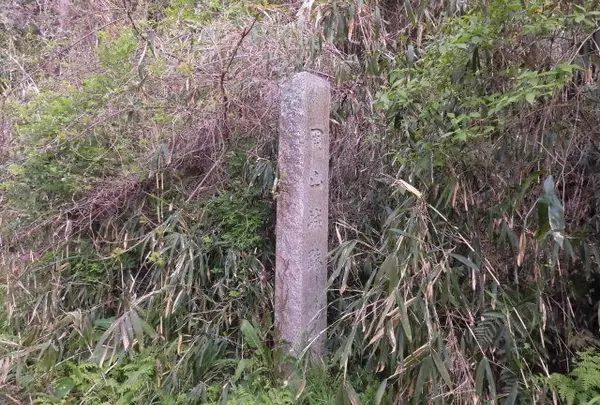 水口岡山城