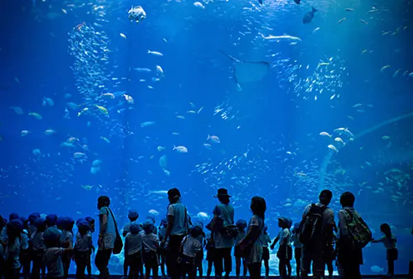 アクアワールド茨城県大洗水族館