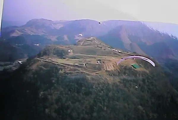 伐株山