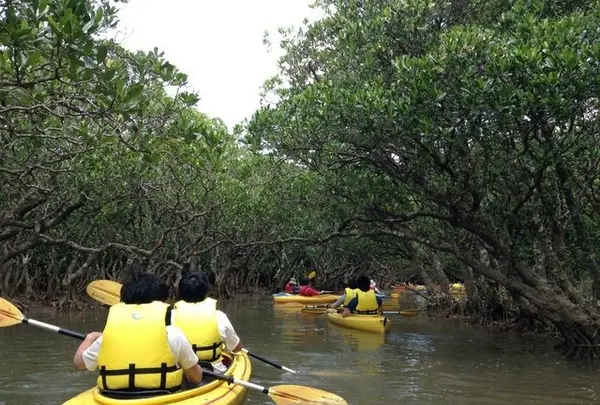 黒潮の森マングローブパーク