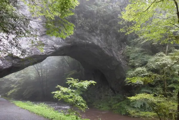 雄橋の写真・動画_image_263291