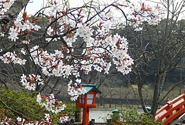 中間市地域交流センター