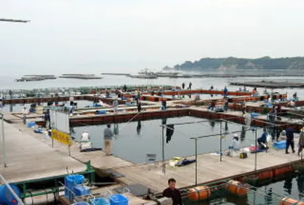 釣堀海恵