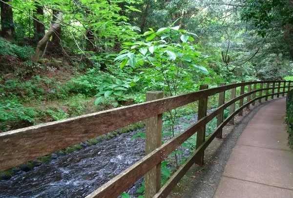 橋立吊橋