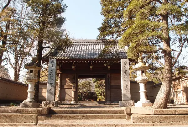 中院