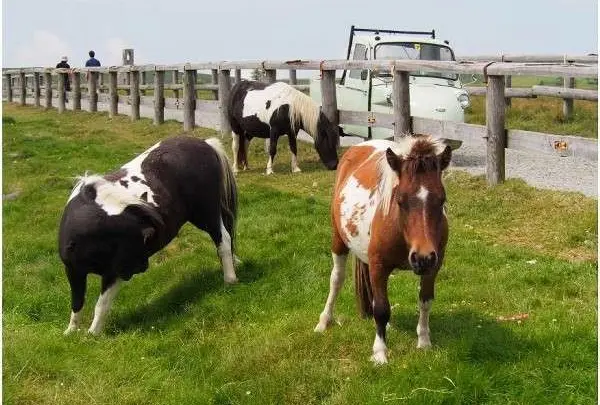 美ヶ原高原ホテル山本小屋