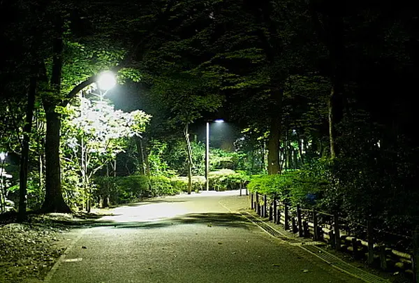代々木公園