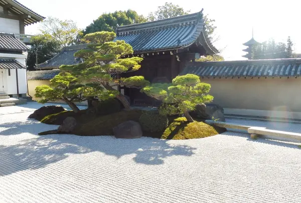 観智院の写真・動画_image_282156