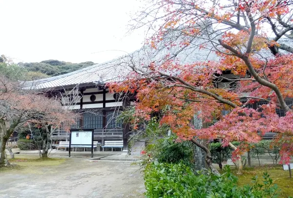 功山寺の写真・動画_image_285455