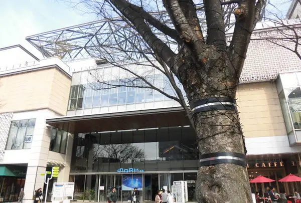 MARK IS みなとみらいの写真・動画_image_290374