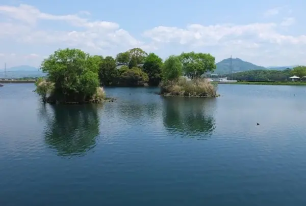 浮島