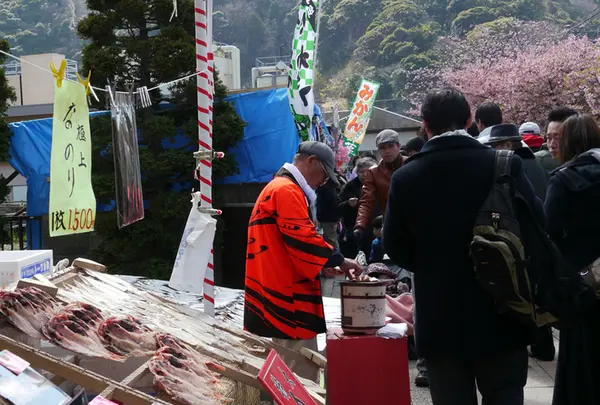 河津駅から桜並木まで