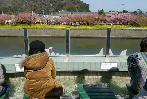 河津三郎の足湯処