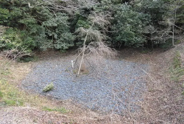 史跡金ヶ崎城跡