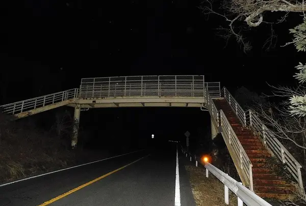 日本平パークウェイの歩道橋