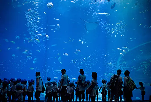 アクアワールド茨城県大洗水族館