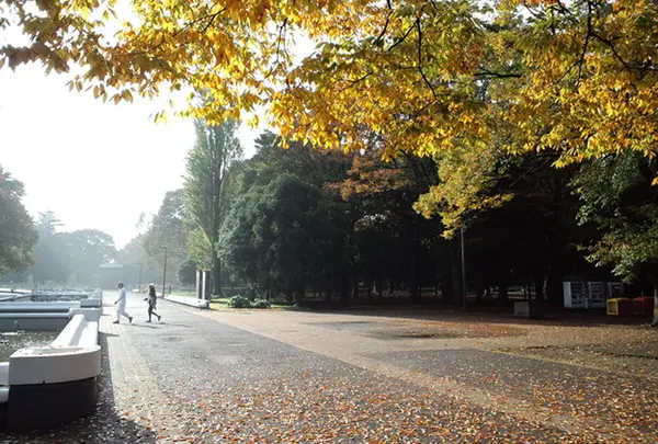 代々木公園