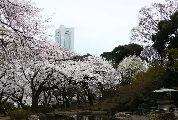 掃部山公園 (かもんやま)