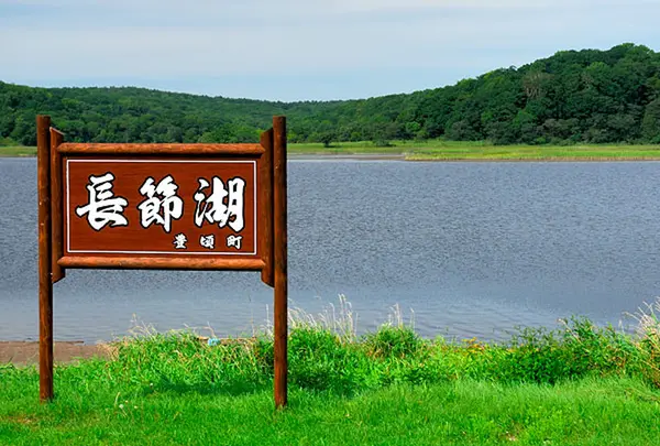 大津海岸 長節湖畔 野生植物群落