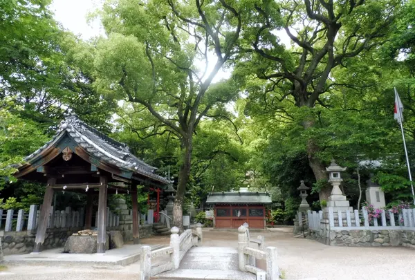 御器所八幡宮の写真・動画_image_328431