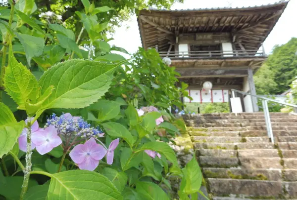 三光寺
