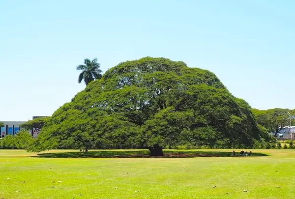 モアナルア・ガーデンズ