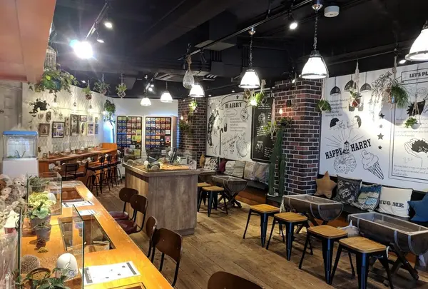 ハリネズミカフェ HARRY 原宿