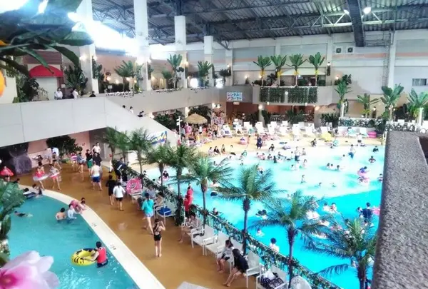 ACQUABEAT（アクアビート）の写真・動画_image_340051