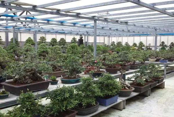 ゴールドホール