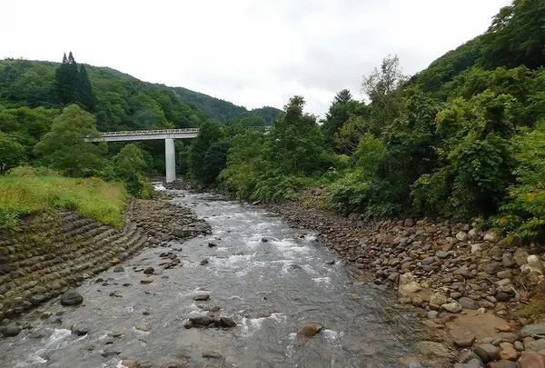 タヌキの湯