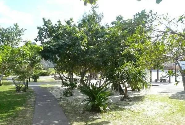 大神山公園