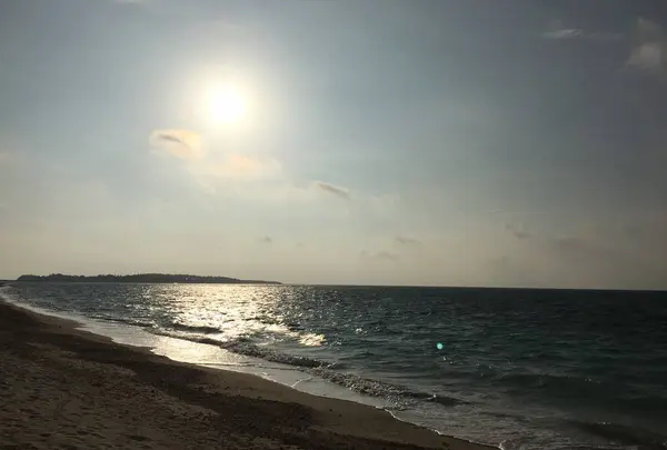 アーラ浜の写真・動画_image_451035