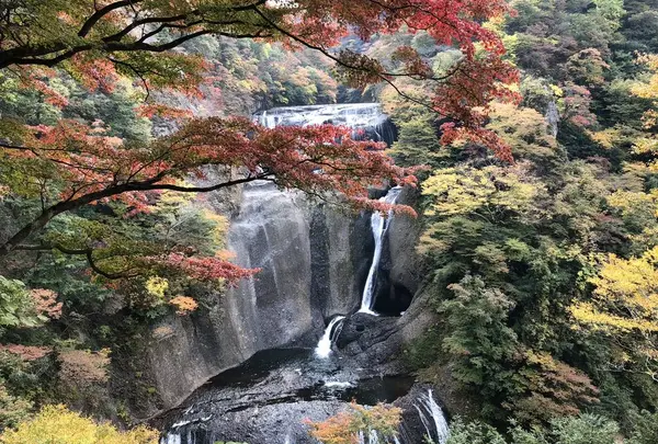 袋田の滝の写真・動画_image_456963