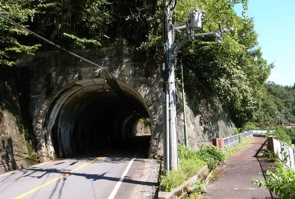 大野虹の湖歩道橋の写真・動画_image_482945