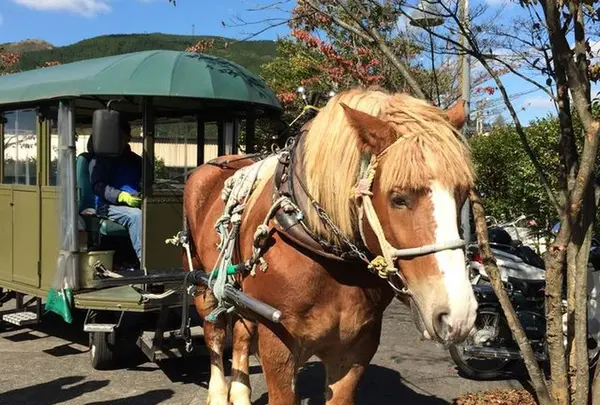 観光辻馬車