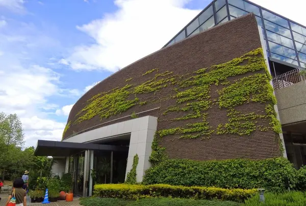 大阪市立自然史博物館