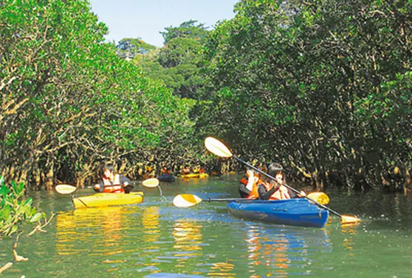 黒潮の森マングローブパーク