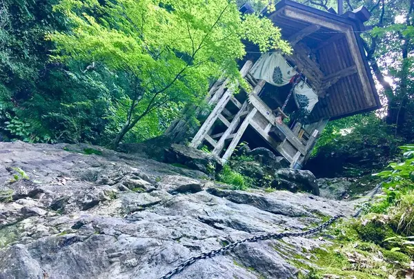 天岩戸神社の写真・動画_image_504463