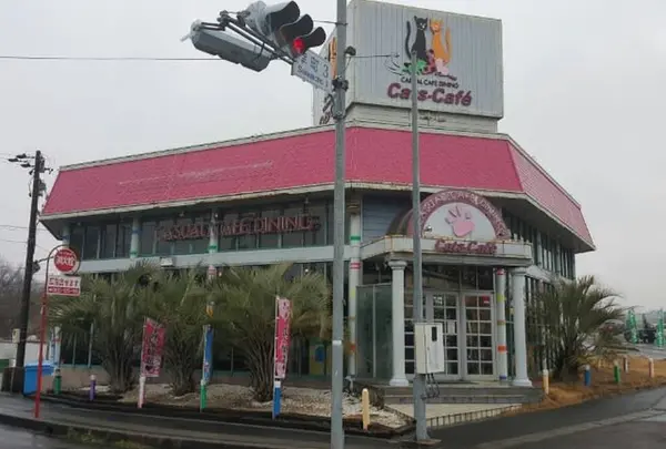 キャッツカフェ多治見店