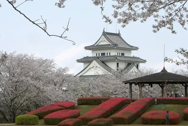 天ケ城公園
