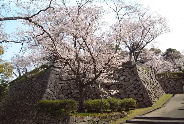 延岡城址の写真・動画_image_519336